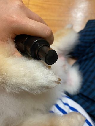 파이누이님이 올린 리뷰 사진 3