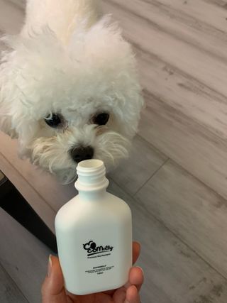큐티윤님이 올린 리뷰 사진 2