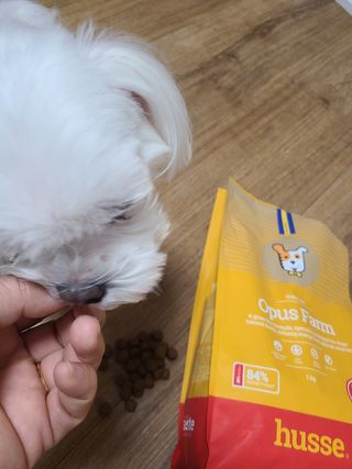 수니니님이 올린 리뷰 사진 1