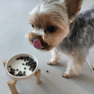 딸기맘님이 올린 리뷰 사진 3