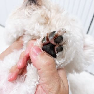 윰쏘님이 올린 리뷰 사진 3