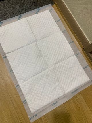 아베크 펫 와이드 프리미엄 중형 애견 강아지 배변 패드 54매 1팩 45g — 5점을 준 리뷰어가 2021년 7월 올린 사용 사진