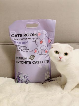 겟플렉스 켓플렉스 캣츠룸BS-1 고양이모래 4kg — 4점을 준 리뷰어가 2021년 3월 올린 사용 사진