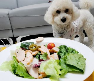 캐스퍼님이 올린 리뷰 사진 2