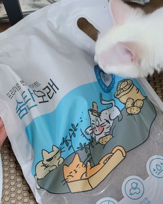 대박이님이 올린 리뷰 사진 2