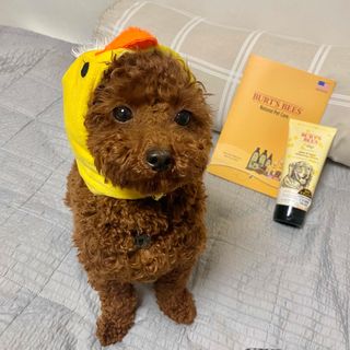 버츠비 케어플러스 릴리빙포앤노즈로션 — 3.5점을 준 리뷰어가 2021년 4월 올린 사용 사진