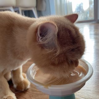 나르미르님이 올린 리뷰 사진 1