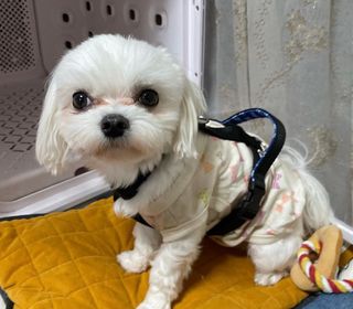 구름님이 올린 리뷰 사진 2
