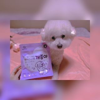 My Pet Care 천연단백질 치아건강에 개좋아 — 5점을 준 리뷰어가 2021년 3월 올린 사용 사진