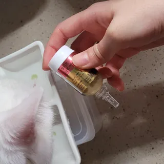 무지조타 반려동물용 꽃으로만든영양제 헬리코디펜스 15ml — 5점을 준 리뷰어가 2021년 8월 올린 사용 사진