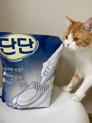 나야나님이 올린 리뷰 사진 2