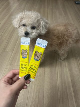 [레모나] 강아지 레모나 강아직 영양 간식 4종 택 1 — 5점을 준 리뷰어가 2023년 12월 올린 사용 사진