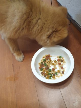 율쓰님이 올린 리뷰 사진 2
