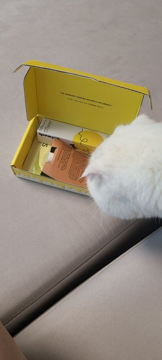 논지님이 올린 리뷰 사진 1
