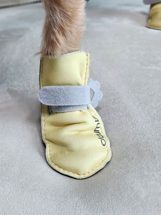 효효님이 올린 리뷰 사진 2