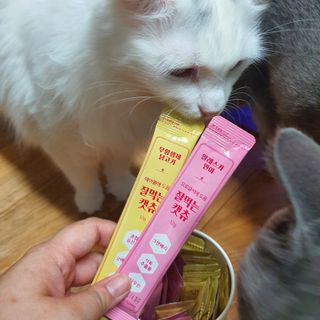 페페로니 잘 먹는 캣츄 - 무항생제 닭고기 12개 + 알래스카 연어 12개 — 5점을 준 리뷰어가 2021년 8월 올린 사용 사진