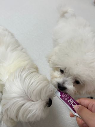린짱님이 올린 리뷰 사진 3