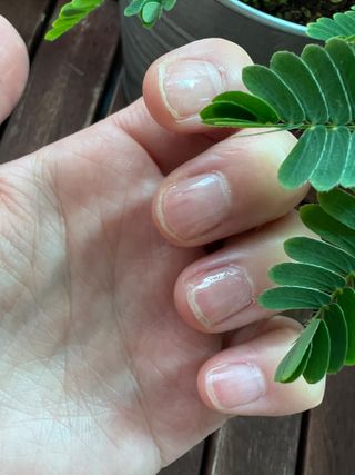 찐님이 올린 리뷰 사진 2