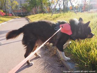 러블리유린님이 올린 리뷰 사진 3