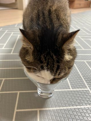 둥어멈님이 올린 리뷰 사진 2