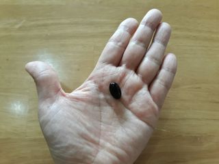 mm님이 올린 리뷰 사진 3
