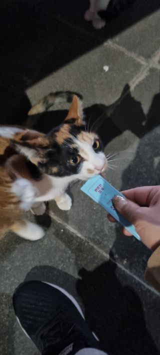 진쓰님이 올린 리뷰 사진 4