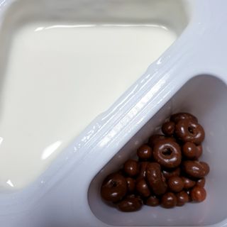 매일바이오 토핑요거트 — 5점을 준 리뷰어가 2021년 5월 올린 사용 사진
