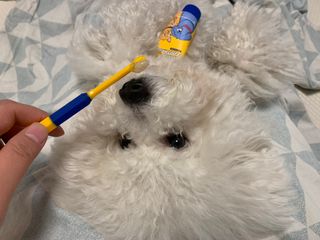 용용맹님이 올린 리뷰 사진 4