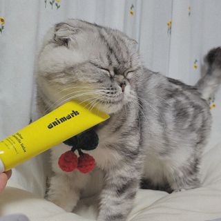 유햐님이 올린 리뷰 사진 2