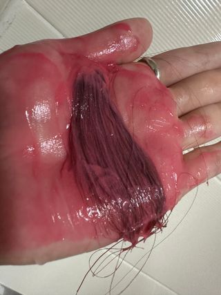 유르율님이 올린 리뷰 사진 1