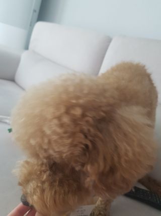fksrud7425님이 올린 리뷰 사진 3