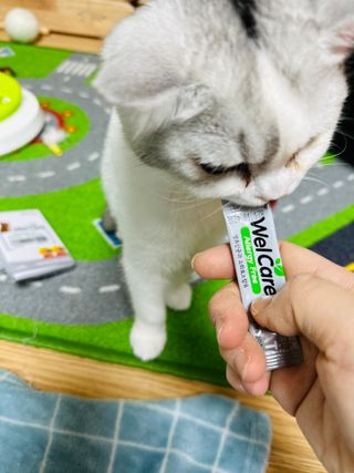 kiralee님이 올린 리뷰 사진 2