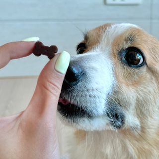 럽쏘이님이 올린 리뷰 사진 4