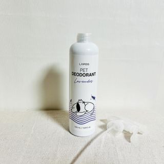 뽀히님이 올린 리뷰 사진 4