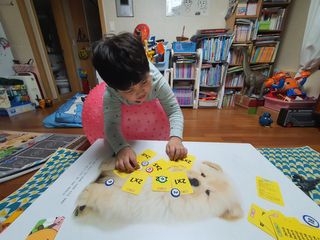 밍구맘님이 올린 리뷰 사진 1