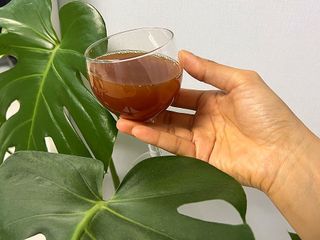 하이핼로루디님이 올린 리뷰 사진 2