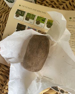 지니그님이 올린 리뷰 사진 1