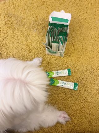 타이니벳시님이 올린 리뷰 사진 3