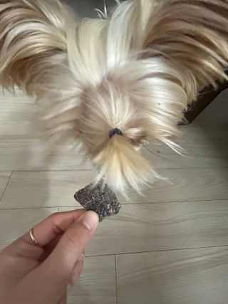 영이님이 올린 리뷰 사진 4