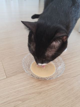 오둥이맘님이 올린 리뷰 사진 3