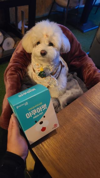 펫시랩 반려견용 액상 프리바이오틱스 아쿠아펫 — 5점을 준 리뷰어가 2021년 1월 올린 사용 사진