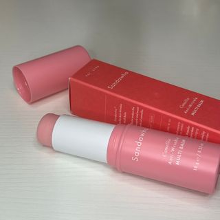 스킨큐어 산다화 카멜리아 안티 링클 멀티밤 — 3.5점을 준 리뷰어가 2023년 12월 올린 사용 사진