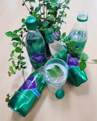 몽베스트 Montbest with Sparkling water Plain 20병 — 5점을 준 리뷰어가 2022년 5월 올린 사용 사진