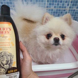 유화님이 올린 리뷰 사진 1