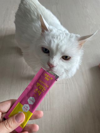 페페로니 맛있는 스틱 - 무항생제 닭고기 15개 + 알래스카 연어 15개 — 5점을 준 리뷰어가 2021년 8월 올린 사용 사진