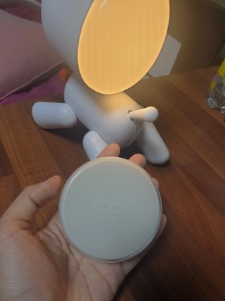 세렌디뷰티 퍼펙트 에어리 래디언스 쿠션 — 5점을 준 리뷰어가 2022년 1월 올린 사용 사진