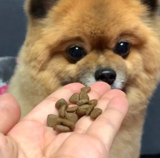 꿀냥이님이 올린 리뷰 사진 3