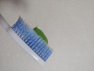 프리마인 유해균 뿐만 아니라 유익균까지 씻어내는 치약은 그만, 건강한 구강환경을 만드는 덴탈엔오 — 5점을 준 리뷰어가 2023년 3월 올린 사용 사진