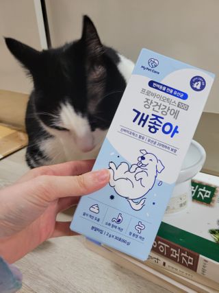 My Pet Care 장건강에 개좋아 — 4점을 준 리뷰어가 2021년 1월 올린 사용 사진