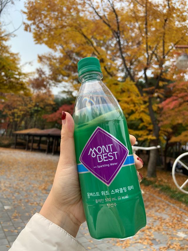 Montbest with Sparkling water Plain 20병 리뷰 사진